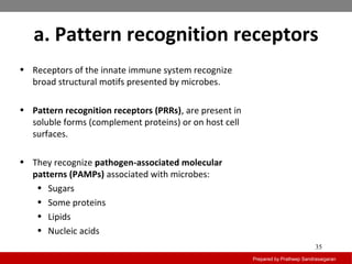 a. Pattern recognition receptors
Prepared by Pratheep Sandrasaigaran
35
• Receptors of the innate immune system recognize
broad structural motifs presented by microbes.
• Pattern recognition receptors (PRRs), are present in
soluble forms (complement proteins) or on host cell
surfaces.
• They recognize pathogen-associated molecular
patterns (PAMPs) associated with microbes:
• Sugars
• Some proteins
• Lipids
• Nucleic acids
 