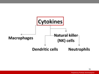 Prepared by Pratheep Sandrasaigaran
38
Cytokines
Macrophages
Neutrophils
Natural killer
(NK) cells
Dendritic cells
 