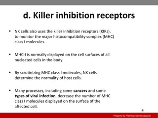 d. Killer inhibition receptors
Prepared by Pratheep Sandrasaigaran
41
• NK cells also uses the killer inhibition receptors (KIRs),
to monitor the major histocompatibility complex (MHC)
class I molecules.
• MHC-I is normally displayed on the cell surfaces of all
nucleated cells in the body.
• By scrutinizing MHC class I molecules, NK cells
determine the normality of host cells.
• Many processes, including some cancers and some
types of viral infection, decrease the number of MHC
class I molecules displayed on the surface of the
affected cell.
 