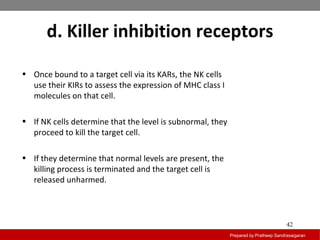 d. Killer inhibition receptors
Prepared by Pratheep Sandrasaigaran
42
• Once bound to a target cell via its KARs, the NK cells
use their KIRs to assess the expression of MHC class I
molecules on that cell.
• If NK cells determine that the level is subnormal, they
proceed to kill the target cell.
• If they determine that normal levels are present, the
killing process is terminated and the target cell is
released unharmed.
 