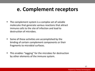 e. Complement receptors
Prepared by Pratheep Sandrasaigaran
43
• The complement system is a complex set of soluble
molecules that generate various reactions that attract
immune cells to the site of infection and lead to
destruction of microbes.
• Some of these activities are accomplished by the
binding of certain complement components or their
fragments to microbial surfaces.
• This enables "tagging" for the microbes for destruction
by other elements of the immune system.
 