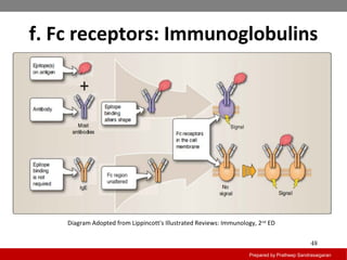 f. Fc receptors: Immunoglobulins
Prepared by Pratheep Sandrasaigaran
48
Diagram Adopted from Lippincott's Illustrated Reviews: Immunology, 2nd
ED
 