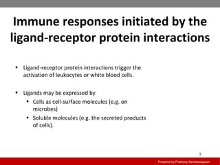 Immune responses initiated by the
ligand-receptor protein interactions
Prepared by Pratheep Sandrasaigaran
5
• Ligand-receptor protein interactions trigger the
activation of leukocytes or white blood cells.
• Ligands may be expressed by
• Cells as cell-surface molecules (e.g. on
microbes)
• Soluble molecules (e.g. the secreted products
of cells).
 