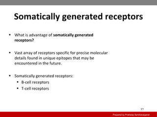 Somatically generated receptors
Prepared by Pratheep Sandrasaigaran
57
• What is advantage of somatically generated
receptors?
• Vast array of receptors specific for precise molecular
details found in unique epitopes that may be
encountered in the future.
• Somatically generated receptors:
• B-cell receptors
• T-cell receptors
 