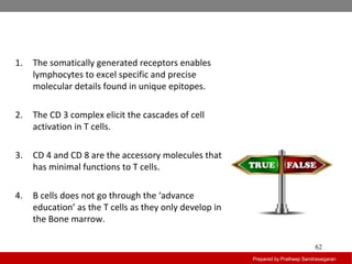 Prepared by Pratheep Sandrasaigaran
62
1. The somatically generated receptors enables
lymphocytes to excel specific and precise
molecular details found in unique epitopes.
2. The CD 3 complex elicit the cascades of cell
activation in T cells.
3. CD 4 and CD 8 are the accessory molecules that
has minimal functions to T cells.
4. B cells does not go through the ‘advance
education’ as the T cells as they only develop in
the Bone marrow.
 
