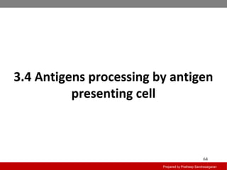 3.4 Antigens processing by antigen
presenting cell
Prepared by Pratheep Sandrasaigaran
64
 