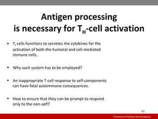 Antigen processing
is necessary for TH-cell activation
Prepared by Pratheep Sandrasaigaran
65
• TH cells functions to secretes the cytokines for the
activation of both the humoral and cell-mediated
immune cells.
• Why such system has to be employed?
• An inappropriate T-cell response to self-components
can have fatal autoimmune consequences.
• How to ensure that they can be prompt to respond
only to the non-self?
 