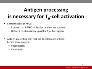 Antigen processing
is necessary for TH-cell activation
Prepared by Pratheep Sandrasaigaran
67
• Characteristics of APCs:
• Express class II MHC molecules on their membranes.
• Deliver a co-stimulatory signal for TH-cell activation.
• Antigen-presenting cells first has to internalize antigen
before processing via:
• Phagocytosis
• Endocytosis
 
