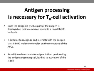 Antigen processing
is necessary for TH-cell activation
Prepared by Pratheep Sandrasaigaran
69
• Once the antigen is lysed, a part of the antigen is
displayed on their membrane bound to a class II MHC
molecule.
• TH cell able to recognize and interacts with the antigen–
class II MHC molecule complex on the membrane of the
APCs.
• An additional co-stimulatory signal is then produced by
the antigen-presenting cell, leading to activation of the
TH cell.
 