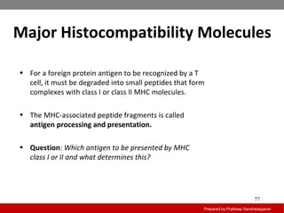 Major Histocompatibility Molecules
Prepared by Pratheep Sandrasaigaran
77
• For a foreign protein antigen to be recognized by a T
cell, it must be degraded into small peptides that form
complexes with class I or class II MHC molecules.
• The MHC-associated peptide fragments is called
antigen processing and presentation.
• Question: Which antigen to be presented by MHC
class I or II and what determines this?
 