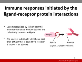 Diagram Adopted from Internet
Immune responses initiated by the
ligand-receptor protein interactions
Prepared by Pratheep Sandrasaigaran
8
• Ligands recognized by cells of both the
innate and adaptive immune systems are
collectively known as antigens.
• The smallest individually identifiable part
of an antigen that is bound by a receptor
is known as an epitope.
 
