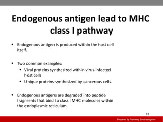 Endogenous antigen lead to MHC
class I pathway
Prepared by Pratheep Sandrasaigaran
81
• Endogenous antigen is produced within the host cell
itself.
• Two common examples:
• Viral proteins synthesized within virus-infected
host cells
• Unique proteins synthesized by cancerous cells.
• Endogenous antigens are degraded into peptide
fragments that bind to class I MHC molecules within
the endoplasmic reticulum.
 