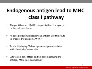 Endogenous antigen lead to MHC
class I pathway
Prepared by Pratheep Sandrasaigaran
82
• The peptide–class I MHC complex is then transported
to the cell membrane.
• All cells producing endogenous antigen use this route
to process the antigen… WHY?
• T cells displaying CD8 recognize antigen associated
with class I MHC molecules.
• Cytotoxic T cells attack and kill cells displaying the
antigen–MHC class I complexes
 