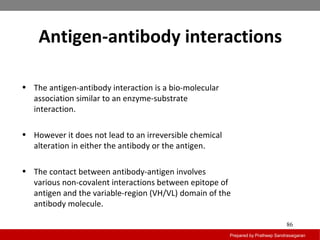 Antigen-antibody interactions
Prepared by Pratheep Sandrasaigaran
86
• The antigen-antibody interaction is a bio-molecular
association similar to an enzyme-substrate
interaction.
• However it does not lead to an irreversible chemical
alteration in either the antibody or the antigen.
• The contact between antibody-antigen involves
various non-covalent interactions between epitope of
antigen and the variable-region (VH/VL) domain of the
antibody molecule.
 
