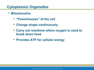 CVA A&P - Chapter 3a Cell Parts | PPT