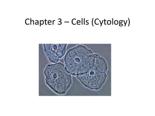 Chapter 3 – Cells (Cytology)
 