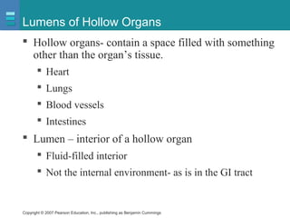 Copyright © 2007 Pearson Education, Inc., publishing as Benjamin Cummings
Lumens of Hollow Organs
 Hollow organs- contain a space filled with something
other than the organ’s tissue.
 Heart
 Lungs
 Blood vessels
 Intestines
 Lumen – interior of a hollow organ
 Fluid-filled interior
 Not the internal environment- as is in the GI tract
 