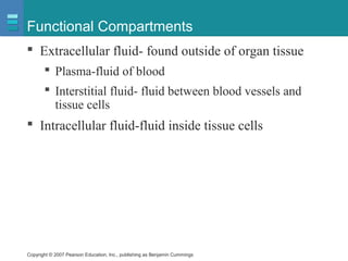 Copyright © 2007 Pearson Education, Inc., publishing as Benjamin Cummings
Functional Compartments
 Extracellular fluid- found outside of organ tissue
 Plasma-fluid of blood
 Interstitial fluid- fluid between blood vessels and
tissue cells
 Intracellular fluid-fluid inside tissue cells
 