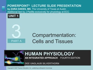 POWERPOINT®
LECTURE SLIDE PRESENTATION
by ZARA OAKES, MS, The University of Texas at Austin
Additional text by J Padilla exclusively for physiology at ECC
Copyright © 2007 Pearson Education, Inc., publishing as Benjamin Cummings
HUMAN PHYSIOLOGY
AN INTEGRATED APPROACH FOURTH EDITION
DEE UNGLAUB SILVERTHORN
UNIT 1UNIT 1
PART A
3 Compartmentation:
Cells and Tissues
 
