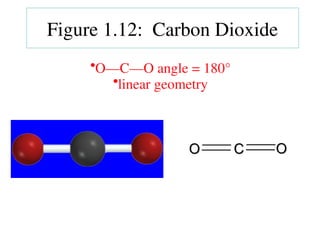 •O—C—O angle = 180°
•linear geometry
O
O C
C O
O
Figure 1.12: Carbon Dioxide
 