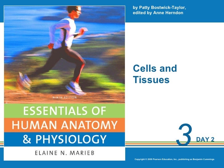 Cells Tissues Lecture Notes