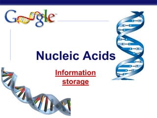 AP Biology
Nucleic Acids
Information
storage
 