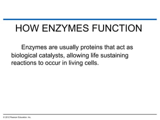 HOW ENZYMES FUNCTION
Enzymes are usually proteins that act as
biological catalysts, allowing life sustaining
reactions to occur in living cells.
© 2012 Pearson Education, Inc.
 