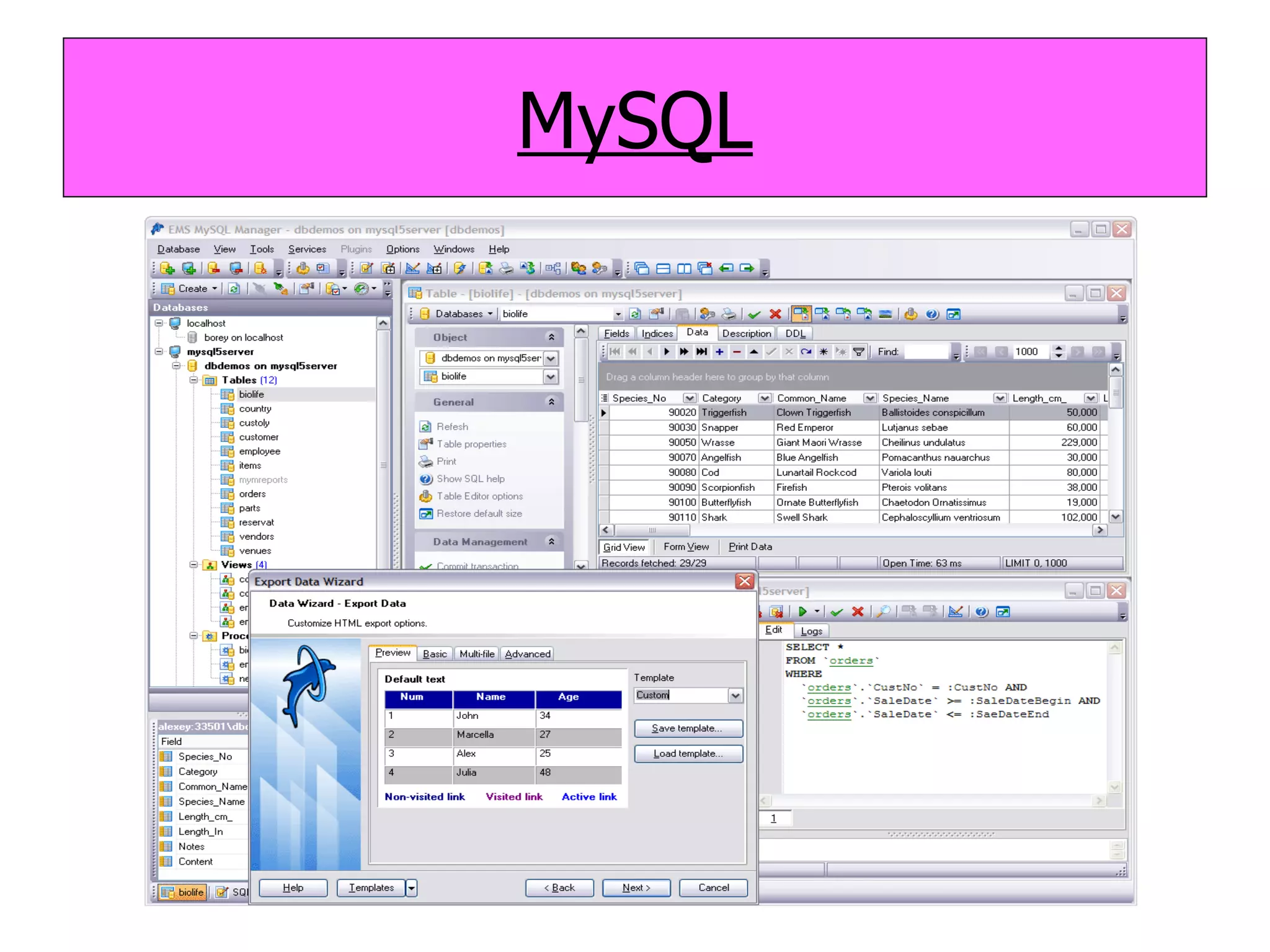 MySQL 
