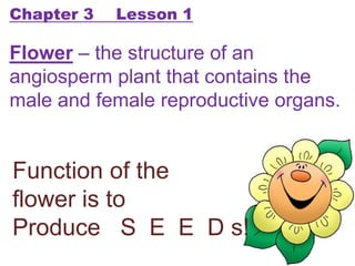 Chapter 3   Lesson 1

Flower – the structure of an
angiosperm plant that contains the
male and female reproductive organs.


Function of the
flower is to
Produce S E E D s!
 