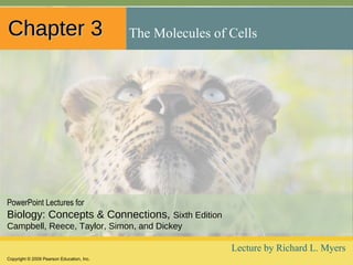 Chapter 3

The Molecules of Cells

PowerPoint Lectures for

Biology: Concepts & Connections, Sixth Edition
Campbell, Reece, Taylor, Simon, and Dickey

Lecture by Richard L. Myers
Copyright © 2009 Pearson Education, Inc.

 