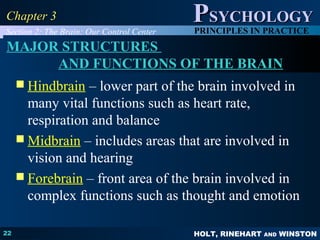 HOLT, RINEHART AND WINSTON
PPSYCHOLOGYSYCHOLOGY
PRINCIPLES IN PRACTICE
22
Chapter 3Chapter 3
Section 2: The Brain: Our Control Center
MAJOR STRUCTURES
AND FUNCTIONS OF THE BRAIN
 Hindbrain – lower part of the brain involved in
many vital functions such as heart rate,
respiration and balance
 Midbrain – includes areas that are involved in
vision and hearing
 Forebrain – front area of the brain involved in
complex functions such as thought and emotion
 