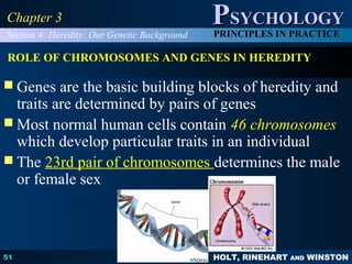 HOLT, RINEHART AND WINSTON
PPSYCHOLOGYSYCHOLOGY
PRINCIPLES IN PRACTICE
51
Chapter 3Chapter 3
ROLE OF CHROMOSOMES AND GENES IN HEREDITY
 Genes are the basic building blocks of heredity and
traits are determined by pairs of genes
 Most normal human cells contain 46 chromosomes
which develop particular traits in an individual
 The 23rd pair of chromosomes determines the male
or female sex
Section 4: Heredity: Our Genetic Background
 