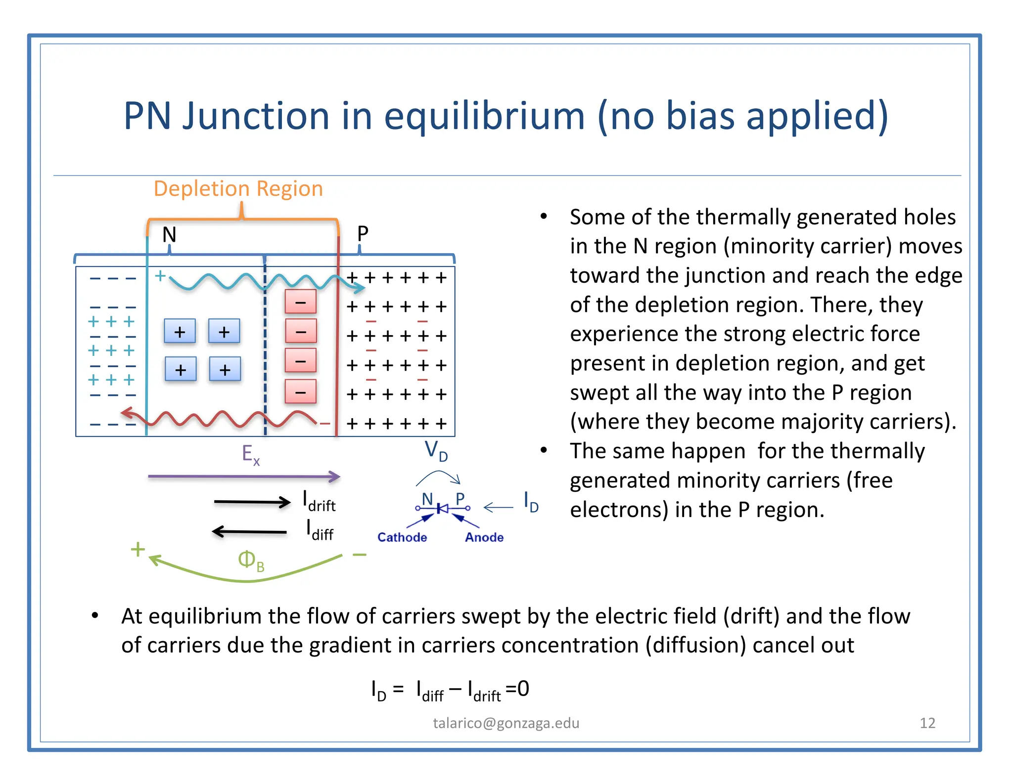 PN Junction in equilibrium (no bias applied)
talarico@gonzaga.edu 12
− − −
− − −
− − −
− − −
− − −
− − −
+ + + + + +
+ + + + + +
+ + + + + +
+ + + + + +
+ + + + + +
+ + + + + +
−
−
−
−
+
+
+
+
Depletion Region
P
N
+
−
• Some of the thermally generated holes
in the N region (minority carrier) moves
toward the junction and reach the edge
of the depletion region. There, they
experience the strong electric force
present in depletion region, and get
swept all the way into the P region
(where they become majority carriers).
• The same happen for the thermally
generated minority carriers (free
electrons) in the P region.
• At equilibrium the flow of carriers swept by the electric field (drift) and the flow
of carriers due the gradient in carriers concentration (diffusion) cancel out
ID = Idiff – Idrift =0
Ex
Idrift
Idiff
+ −
ΦB
P
N ID
− −
− −
− −
+ + +
+ + +
+ + +
VD
 