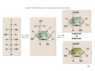 13
H
CH2OH
H
OH
OH H
H
H
C
CC
C
C
C
C
H
C H
HO
OHH
OHH C
OHH C
OHH C
H
OH
C HH
OH
H
OH
H
OH
H
OH
H
OH H
H
H
C
CC
C
C O
OH
OH H
H
H
C
CC
C
OC
OH
OH
O
H
23
5
14
6
5
4
3
2
1
23
5
6
14
23
5
14
α-glucose
or
β-glucose
O
O
CH2OH
Copyright © The McGraw-Hill Companies, Inc. Permission required for reproduction or display.
 