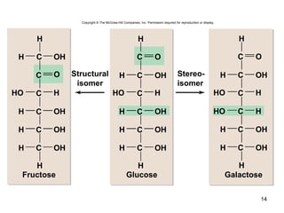 14
Fructose Glucose Galactose
H OH
O
C
C
C
C
C
C
H
H
HO H
H OH
H OH
H OH
H
OC
C
C
C
C
H
H
HO H
OH
H OH
H OH
OC
C
C
C
C
C
H
H
H
HO H
OH
H OH
H OH
CH OH HO H
Stereo-
isomer
Structural
isomer
Copyright © The McGraw-Hill Companies, Inc. Permission required for reproduction or display.
 