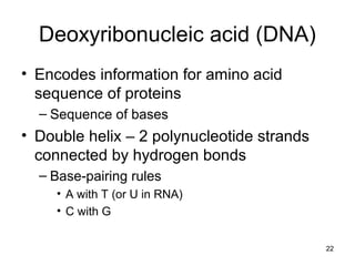 Deoxyribonucleic acid (DNA)
• Encodes information for amino acid
sequence of proteins
– Sequence of bases
• Double helix – 2 polynucleotide strands
connected by hydrogen bonds
– Base-pairing rules
• A with T (or U in RNA)
• C with G
22
 