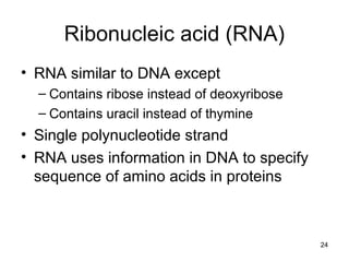 24
Ribonucleic acid (RNA)
• RNA similar to DNA except
– Contains ribose instead of deoxyribose
– Contains uracil instead of thymine
• Single polynucleotide strand
• RNA uses information in DNA to specify
sequence of amino acids in proteins
 