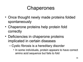 36
• Once thought newly made proteins folded
spontaneously
• Chaperone proteins help protein fold
correctly
• Deficiencies in chaperone proteins
implicated in certain diseases
– Cystic fibrosis is a hereditary disorder
• In some individuals, protein appears to have correct
amino acid sequence but fails to fold
Chaperones
 