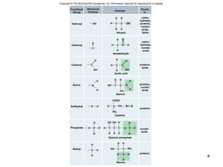 4
Copyright © The McGraw-Hill Companies, Inc. Permission required for reproduction or display.
Hydroxyl
Carbonyl
Carboxyl
Amino
Sulfhydryl
Phosphate
Methyl
Example
OH
O
C
O
OH
C
H
H
N
S H
O
proteins
proteins
H
H
Glycerol phosphate
Alanine
Cysteine
Alanine
Acetic acid
Acetaldehyde
Ethanol
COOH
NH2
HH
H
HH
C OHC
O
H C C
H
H
H
H C
O
OHH
C
O H
N
H
H
CH3
H C HSCH2
NH2
OH OH H
P
O
P O–
O–
O
OCCCH
H H H
O H
HO C C
H C H
H
O–
O–
H
C
HO C C
H
Found
In
carbo-
hydrates,
proteins,
nucleic
acids,
lipids
carbo-
hydrates,
nucleic
acids
proteins,
lipids
proteins,
nucleic
acids
nucleic
acids
Functional
Group
Structural
Formula
 