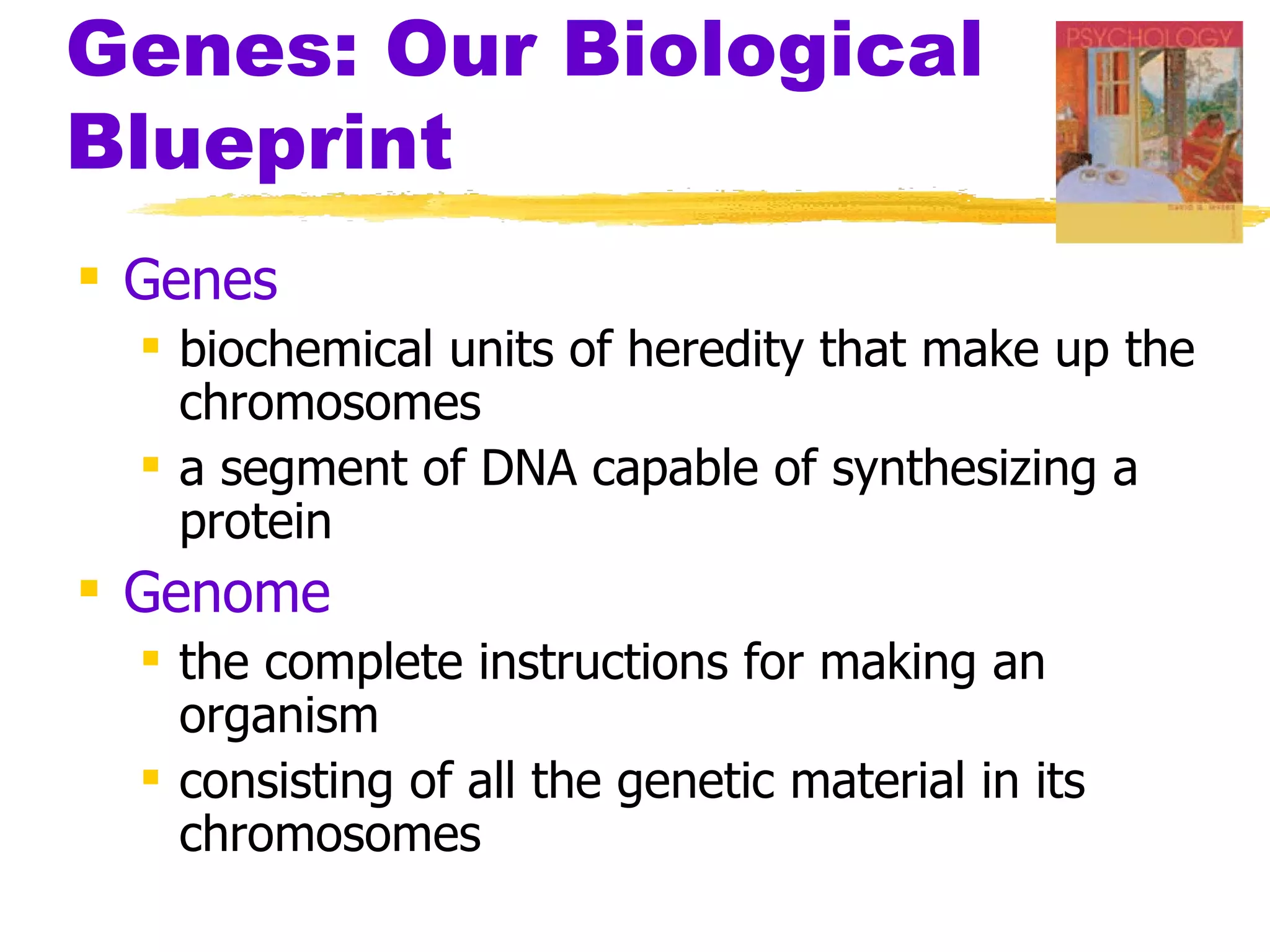 Genes: Our Biological
Blueprint
 Genes
   biochemical units of heredity that make up the
    chromosomes
   a segment of DNA capable of synthesizing a
    protein
 Genome
   the complete instructions for making an
    organism
   consisting of all the genetic material in its
    chromosomes
 