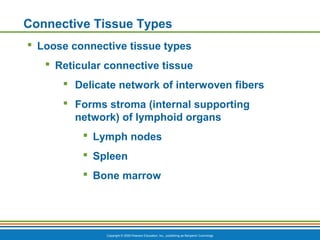 Network Tissue CVA A&P - Chapter 3: Connective Tissue | PPT