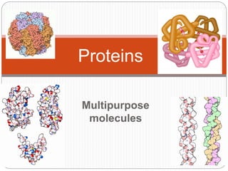 Proteins
2006-2007
Multipurpose
molecules
 