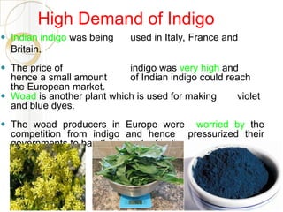 High Demand of Indigo
⚫ Indian indigo was being used in Italy, France and
Britain.
⚫ The price of indigo was very high and
hence a small amount of Indian indigo could reach
the European market.
⚫ Woad is another plant which is used for making violet
and blue dyes.
⚫ The woad producers in Europe were worried by the
competition from indigo and hence pressurized their
governments to ban the import of indigo.
 