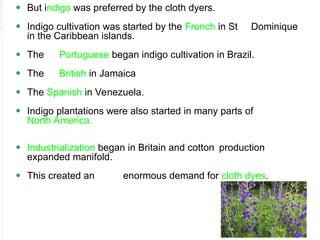 ⚫ But indigo was preferred by the cloth dyers.
⚫ Indigo cultivation was started by the French in St Dominique
in the Caribbean islands.
⚫ The Portuguese began indigo cultivation in Brazil.
⚫ The British in Jamaica
⚫ The Spanish in Venezuela.
⚫ Indigo plantations were also started in many parts of
North America.
⚫ Industrialization began in Britain and cotton production
expanded manifold.
⚫ This created an enormous demand for cloth dyes.
 