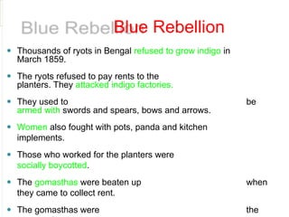 Blue Rebellion
⚫ Thousands of ryots in Bengal refused to grow indigo in
March 1859.
⚫ The ryots refused to pay rents to the
planters. They attacked indigo factories.
⚫ They used to be
armed with swords and spears, bows and arrows.
⚫ Women also fought with pots, panda and kitchen
implements.
⚫ Those who worked for the planters were
socially boycotted.
⚫ The gomasthas were beaten up when
they came to collect rent.
⚫ The gomasthas were the
 