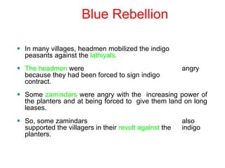 ⚫ In many villages, headmen mobilized the indigo
peasants against the lathiyals.
⚫ The headmen were angry
because they had been forced to sign indigo
contract.
⚫ Some zamindars were angry with the increasing power of
the planters and at being forced to give them land on long
leases.
⚫ So, some zamindars also
supported the villagers in their revolt against the indigo
planters.
Blue Rebellion
 