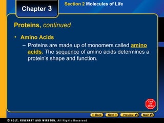 Section 2 Molecules of Life
  Chapter 3

Proteins, continued
• Amino Acids
   – Proteins are made up of monomers called amino
     acids. The sequence of amino acids determines a
     protein’s shape and function.
 