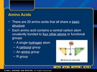 Amino Acids
• There are 20 amino acids that all share a basic
  structure
• Each amino acid contains a central carbon atom
  covalently bonded to four other atoms or functional
  groups
   – A single hydrogen atom
   – A carboxyl group
   – An amino group
   – R group
 