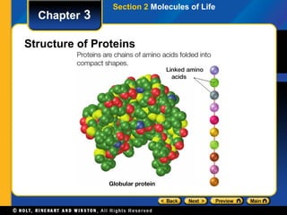 Section 2 Molecules of Life
  Chapter 3

Structure of Proteins
 