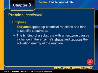 Section 2 Molecules of Life
  Chapter 3

Proteins, continued
• Enzymes
   – Enzymes speed up chemical reactions and bind
     to specific substrates.
   – The binding of a substrate with an enzyme causes
     a change in the enzyme’s shape and reduces the
     activation energy of the reaction.
 